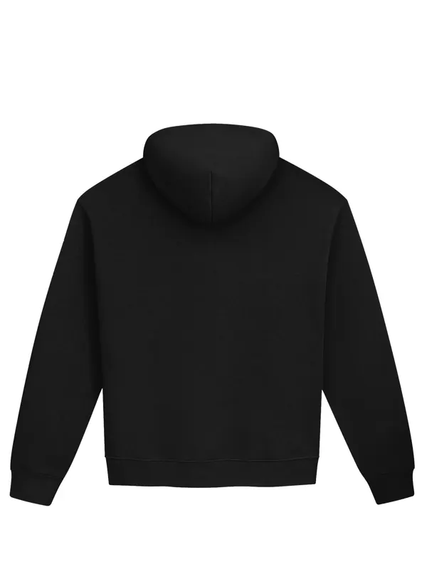 Golden Hour Hoodie, back